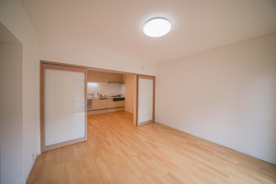 ���r���O�ȊO�̋��� -