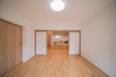 ���r���O�ȊO�̋��� -