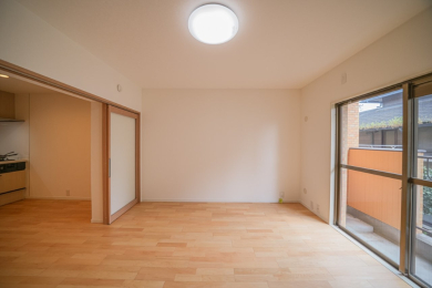 ���r���O�ȊO�̋��� -