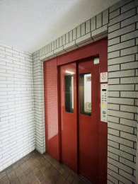 ̑p -