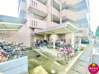  t֏̂߁A؂Ȏ]ԂJɔG炳邱ƂȂۊǂł܂B