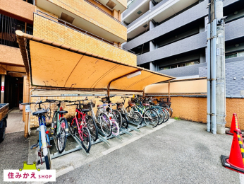  ll̃Xy[XɂƂ肪A~NNłB
Ȃql̏߂Ă̎]Ԃǂły݂܂B