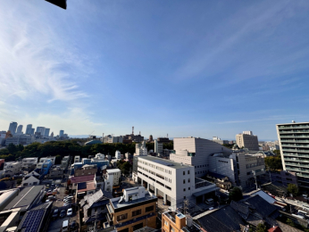  oRj[́AXŜnƂł܂B
L߂ȃXy[Xmۂ邱ƂŁA
K[fjOXy[XȂǂlXȗprły݂܂B