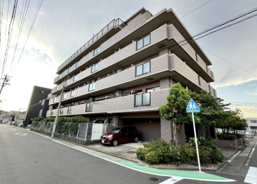 ���������̊O��