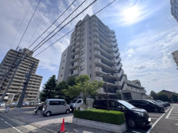 ���������̊O��