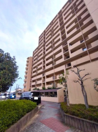 ���������̊O��