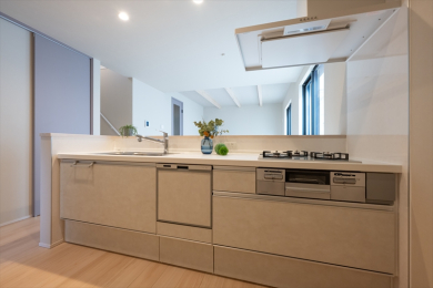 ���d�l�ʐ^(�L�b�`���j -