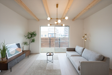 ���d�l�ʐ^(���r���O�j -