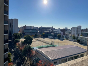 �Z�˂���̒��]�ʐ^ -