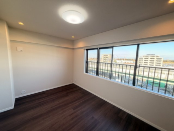 ���r���O�ȊO�̋��� -