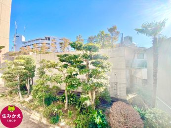 �� ���n����̒��]