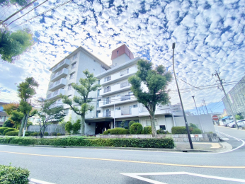 ���������̊O��