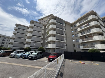 ���������̊O��