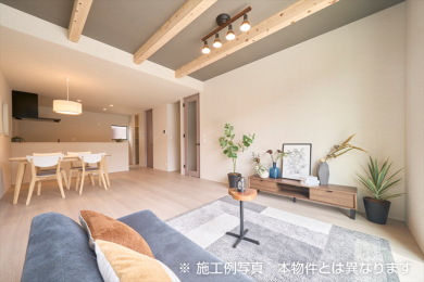 ���d�l�ʐ^(���r���O�j -