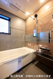 ���d�l�ʐ^(�����j -