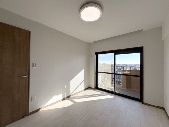 ���r���O�ȊO�̋��� -