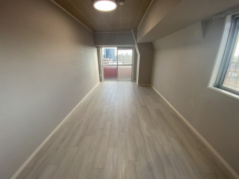 ���r���O�ȊO�̋��� -